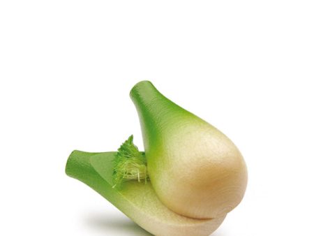 Erzi Fennel Bulb Online Sale