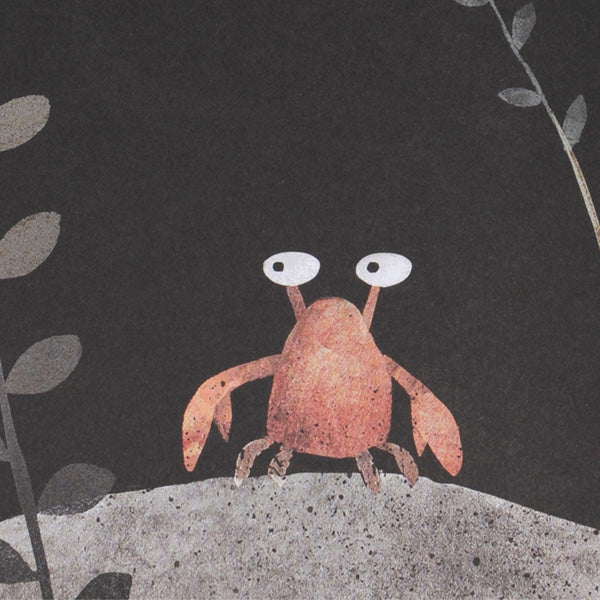 Deze Hoed Is Niet Van Mij by Jon Klassen - Dutch For Cheap